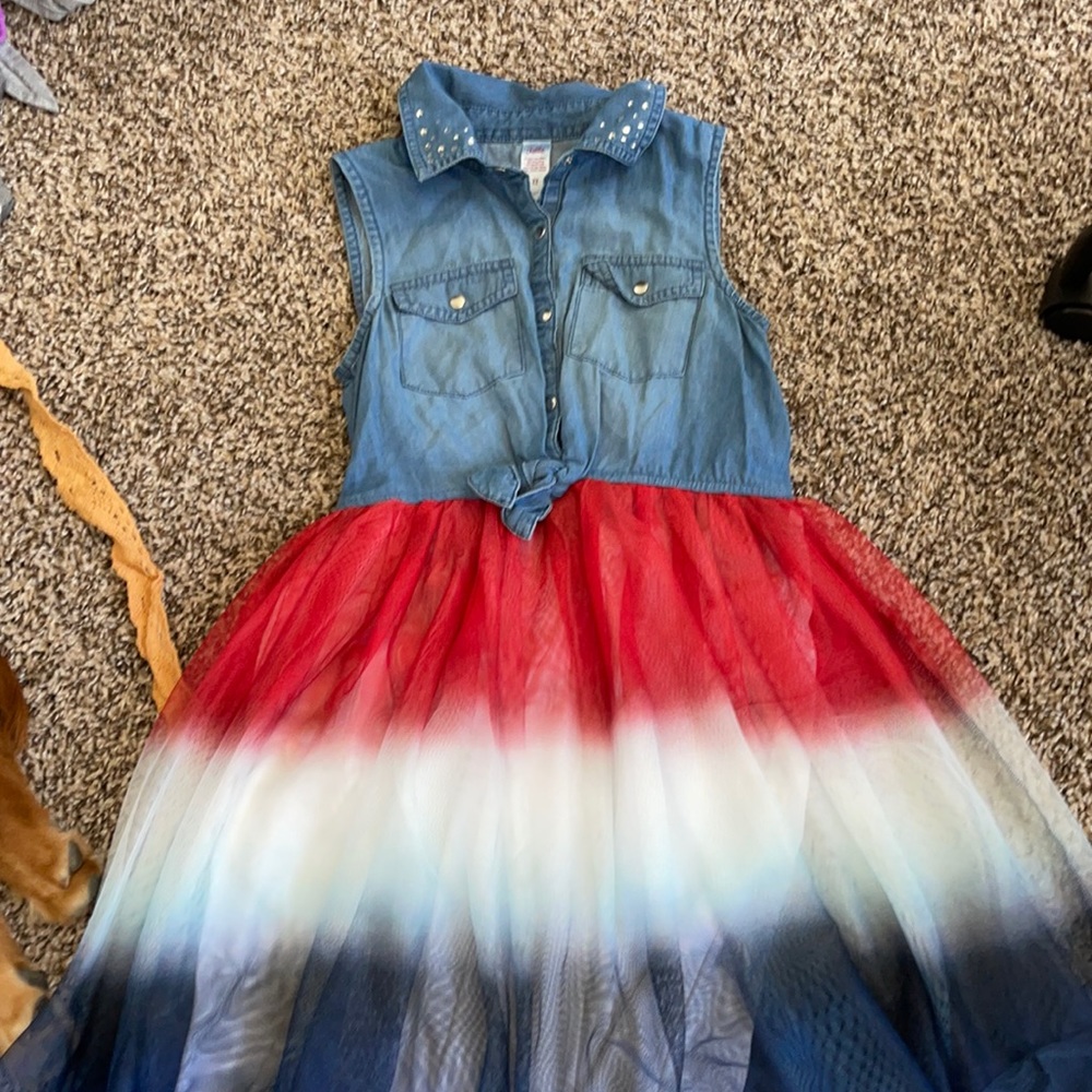 Red white and blue Dress